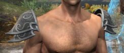Pyre Watch Iron Pauldrons - Male Front