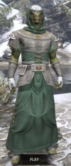 Shield of Senchal Homespun - Argonian Male Robe Front