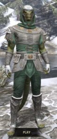 Shield of Senchal Homespun - Argonian Male Shirt Front