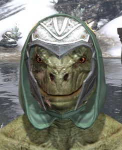 Shield of Senchal Homespun Hat - Argonian Male Front