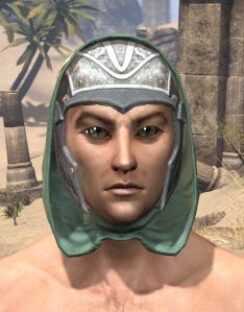 Shield of Senchal Homespun Hat - Male Front