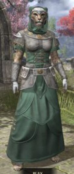 Shield of Senchal Homespun - Khajiit Female Robe Front