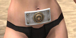 Shield of Senchal Homespun Sash - Female Front