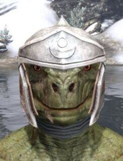 Shield of Senchal Rawhide Helmet - Argonian Male Front