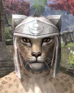 Shield of Senchal Rawhide Helmet - Khajiit Female Front