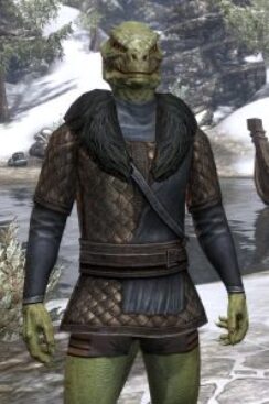 Windhelm Scale - Argonian Male Front