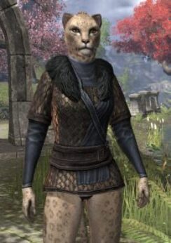 Windhelm Scale - Khajiit Female Front
