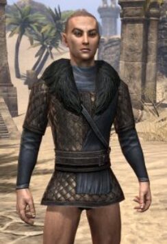 Windhelm Scale - Male Front