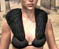 Windhelm Scale Shoulders - Female Front