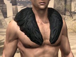 Windhelm Scale Shoulders - Male Front