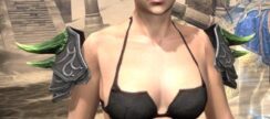 Legendary Dragon Arm Cops - Female Front