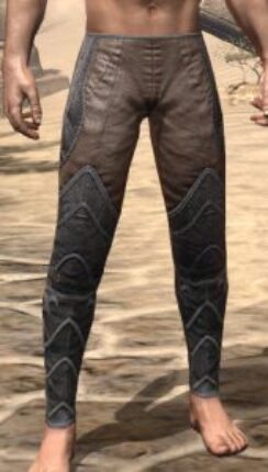 Legendary Dragon Guards - Male Front