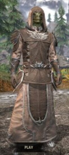 Ancestral High Elf Homespun - Argonian Male Robe Front