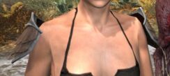 Ancestral High Elf Homespun Epaulets - Female Front