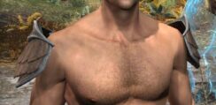 Ancestral High Elf Homespun Epaulets - Male Front
