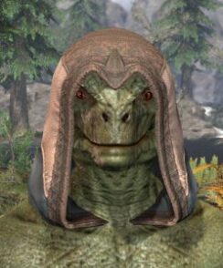 Ancestral High Elf Homespun Hat - Argonian Male Front