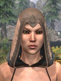 Ancestral High Elf Homespun Hat - Female Front