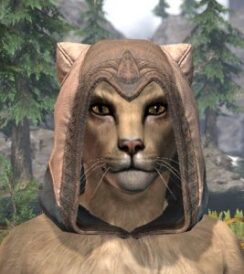 Ancestral High Elf Homespun Hat - Khajiit Female Front