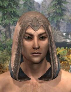 Ancestral High Elf Homespun Hat - Male Front