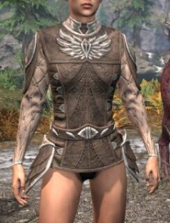 Ancestral High Elf Homespun Jerkin - Female Front