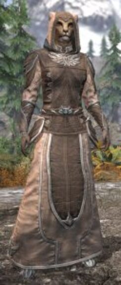 Ancestral High Elf Homespun - Khajiit Female Robe Front