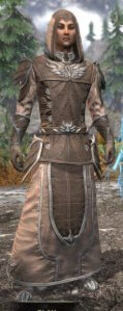 Ancestral High Elf Homespun - Male Robe Front