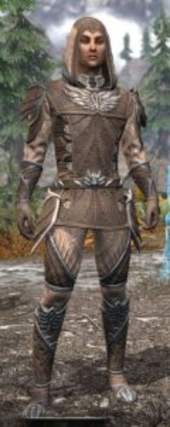 Ancestral High Elf Homespun - Male Shirt Front