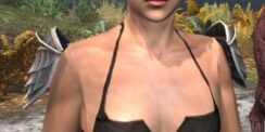 Ancestral High Elf Iron Pauldrons - Female Front