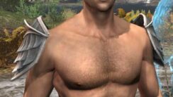 Ancestral High Elf Iron Pauldrons - Male Front