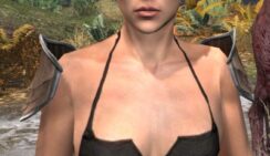 Ancestral High Elf Rawhide Arm Cops - Female Front