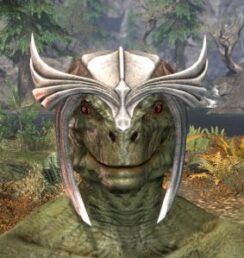 Ancestral High Elf Rawhide Helmet - Argonian Male Front