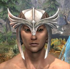 Ancestral High Elf Rawhide Helmet - Male Front