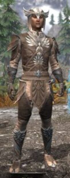 Ancestral High Elf Rawhide - Male Front