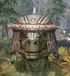 Ancestral Nord Homespun Hat - Argonian Male Front