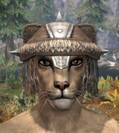 Ancestral Nord Homespun Hat - Khajiit Female Front