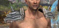 Ancestral Nord Iron Pauldrons - Male Front