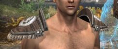 Ancestral Nord Rawhide Arm Cops - Male Front