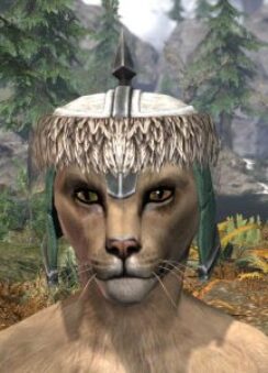 Ancestral Orc Homespun Hat - Khajiit Female Front