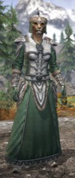 Ancestral Orc Homespun - Khajiit Female Robe Front