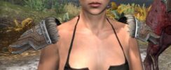 Ancestral Orc Rawhide Arm Cops - Female Front