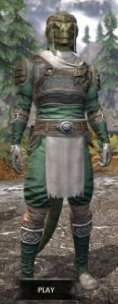 Blackreach Vanguard Homespun - Argonian Male Shirt Front