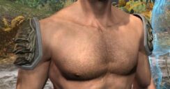 Blackreach Vanguard Homespun Epaulets - Male Front