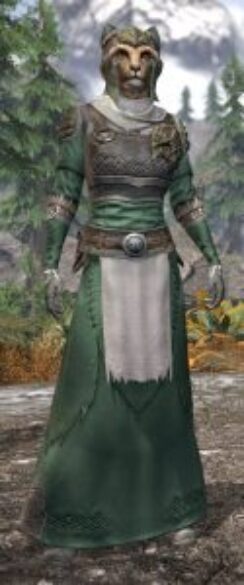 Blackreach Vanguard Homespun - Khajiit Female Robe Front