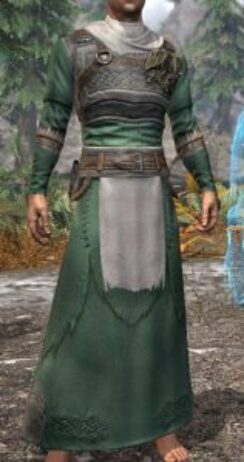 Blackreach Vanguard Homespun Robe - Male Front