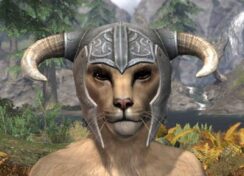 Blackreach Vanguard Iron Helm - Khajiit Female Front