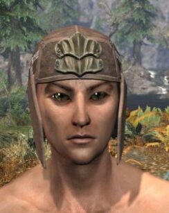 Blackreach Vanguard Rawhide Helmet - Male Front