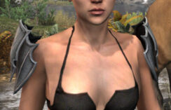 Greymoor Iron Pauldrons - Female Front