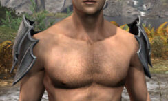 Greymoor Iron Pauldrons - Male Front