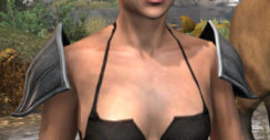 Greymor Rawhide Arm Cops - Female Front