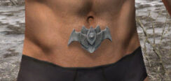 Greymor Rawhide Belt - Male Front